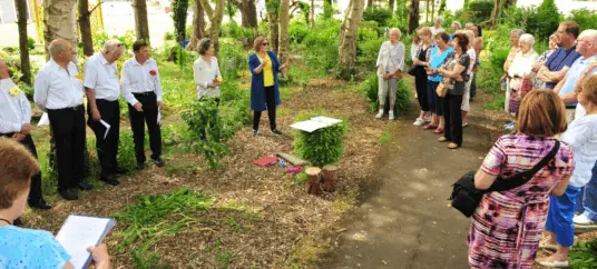 Shannon Sensory Garden