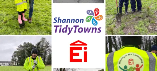 Shannon Tidy Towns Volunteering | Ei Electronics